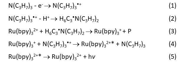 ECL reaction Scheme 3.jpg